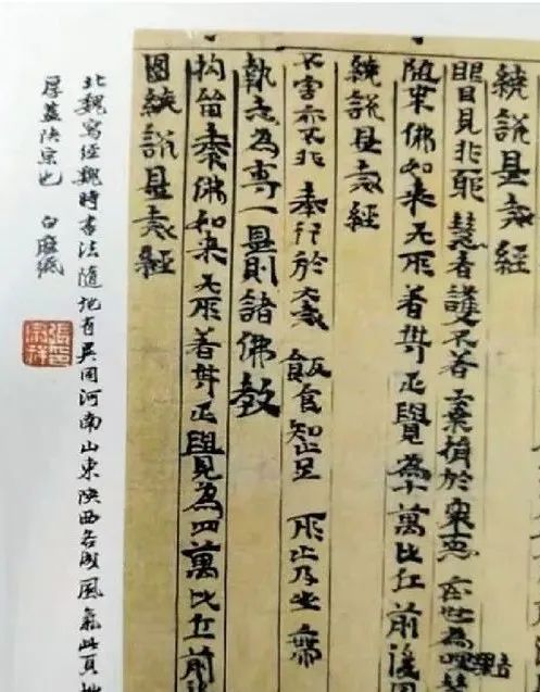 方爱龙：张宗祥、沙孟海对敦煌遗书书学价值的认识