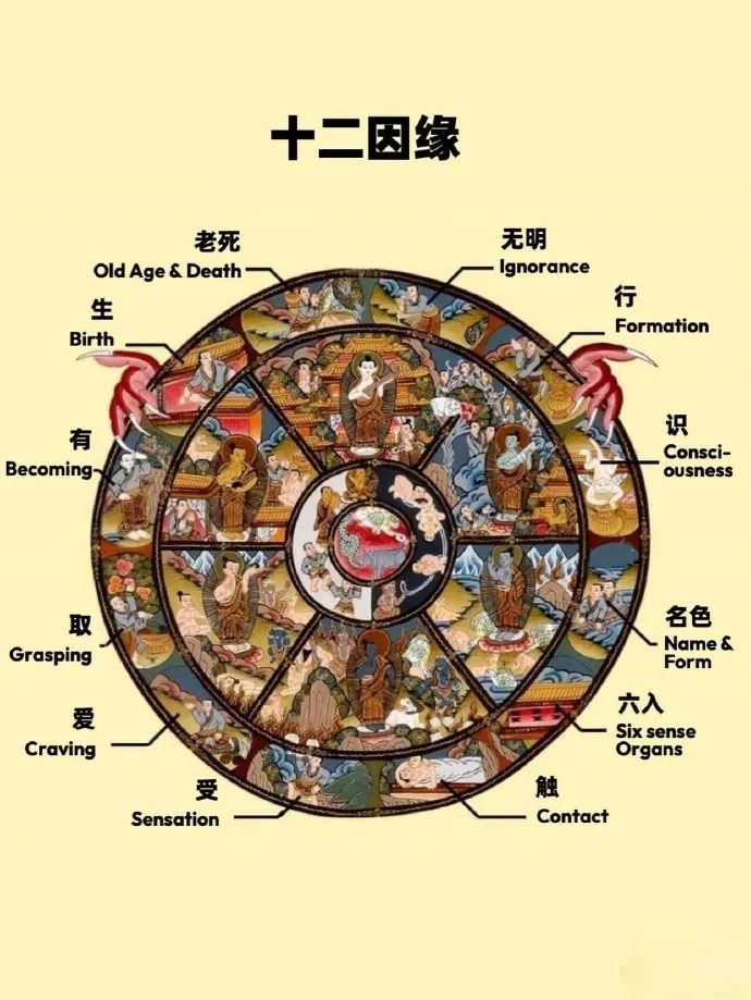 文章标题-1 佛说十二因缘,暗藏玄机!破解生命流转的奥秘,从此不再迷茫!