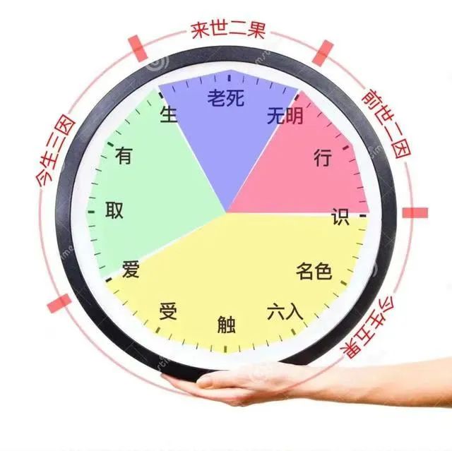 佛说十二因缘，暗藏玄机！破解生命流转的奥秘，从此不再迷茫！