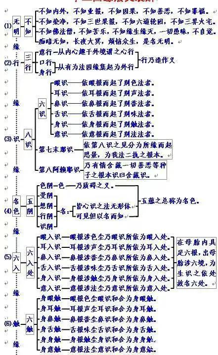 佛说十二因缘，暗藏玄机！破解生命流转的奥秘，从此不再迷茫！