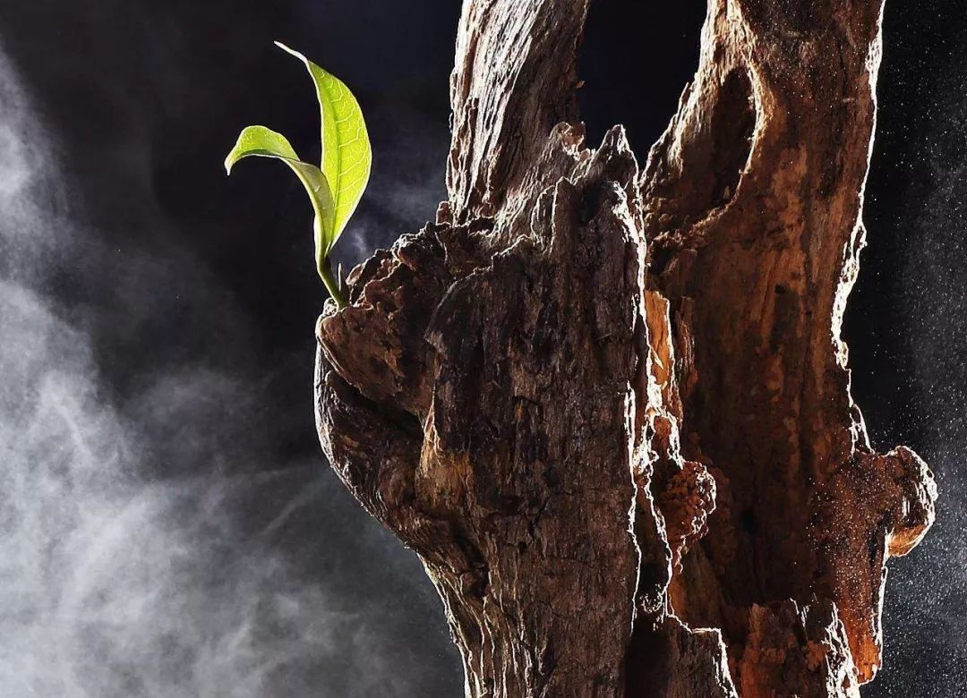 论今、帛本《周易》卦序的先后问题