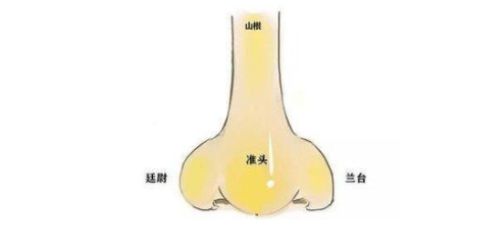 鼻相总结｜男鼻看财，女鼻看夫运！