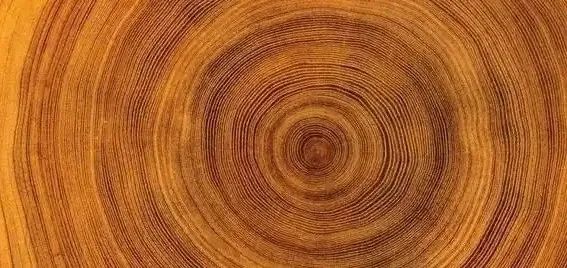 藏锋守拙：不要轻易对外展示你的洞察力