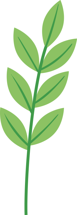 孤本医书《万氏纂要》考