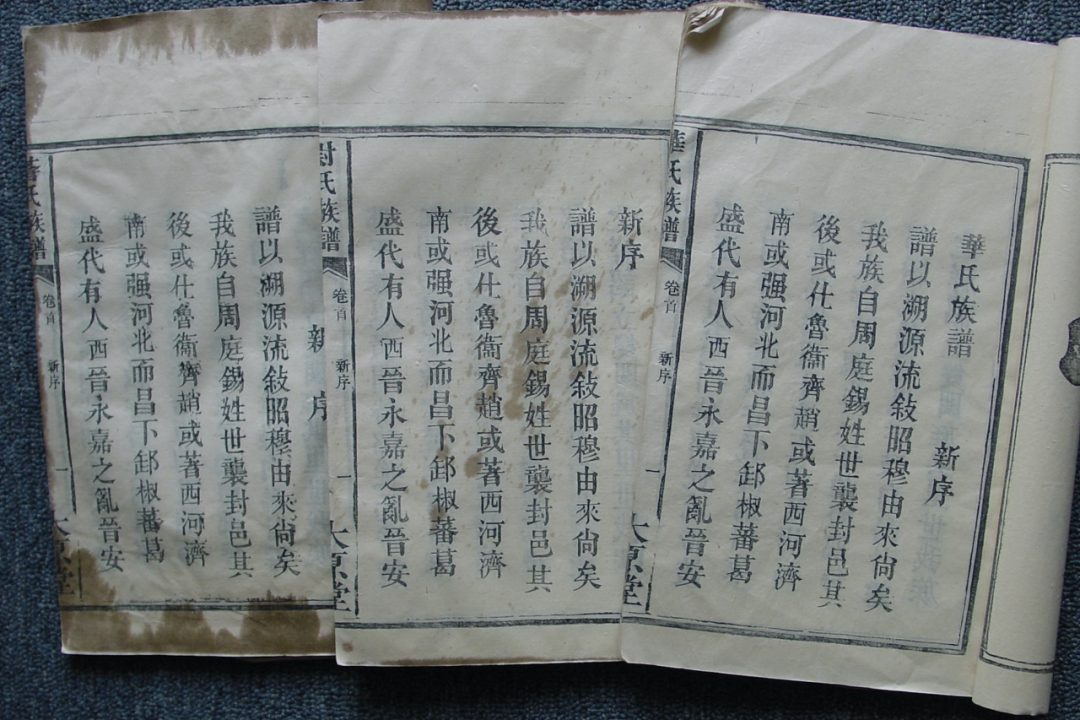 家谱中的“假谱”与辨伪