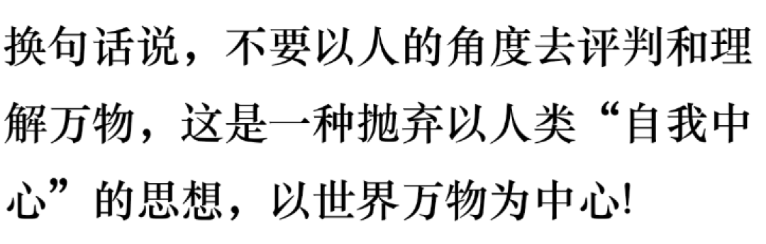 《庄子.齐物论》中四种"齐物"看人的生死境界