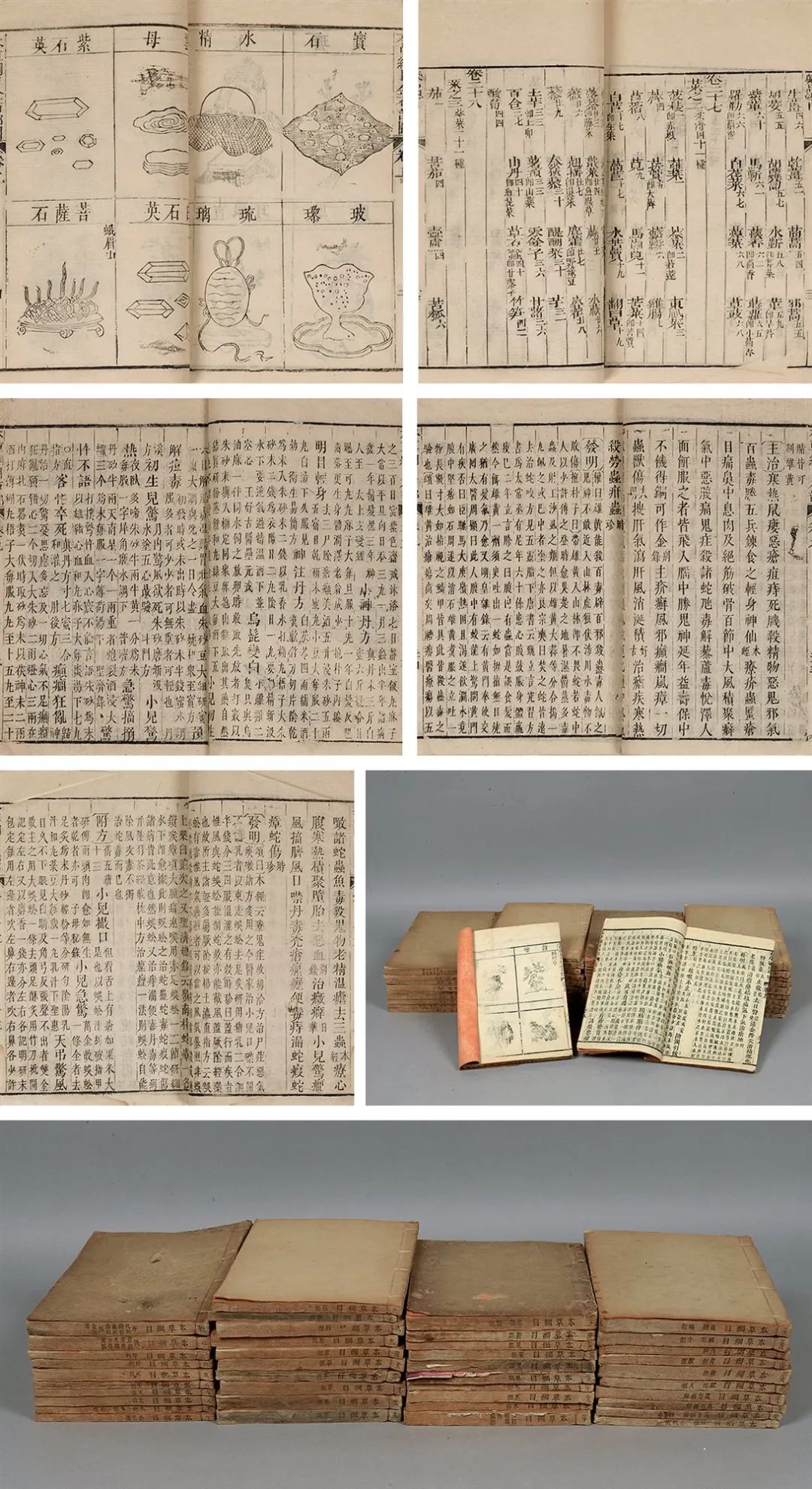 文章标题-1 《本草纲目》曾经没人要?