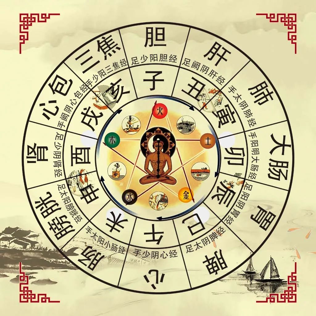 四柱干支代表的身体器官