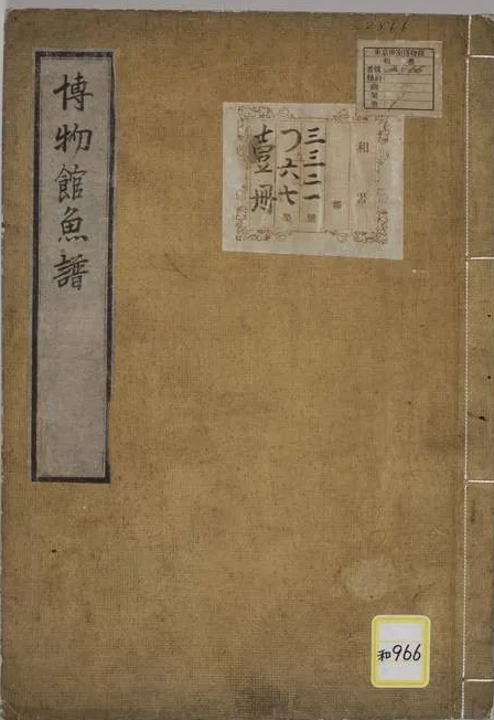 《博物馆鱼谱》