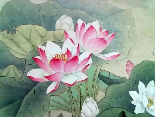 附庸风雅需谨慎，字画不可随意挂！