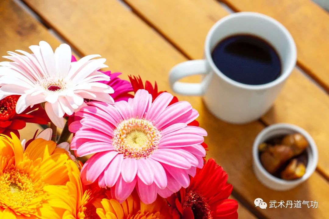 丹道经典《灵源大道歌》，仙学陈撄宁白话注解