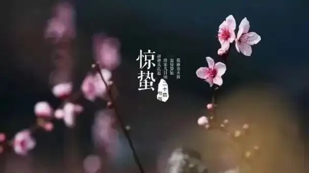 文章标题-1 大壮显天机,雷动九天惊蛰虫;疏肝布甘霖,炁贯三界化龙吟