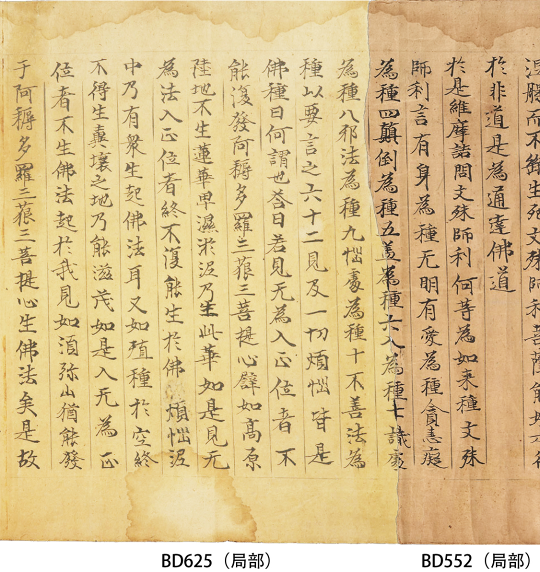 从国图敦煌本《维摩诘经》系列残卷的缀合还原李盛铎等人窃取写卷的真相