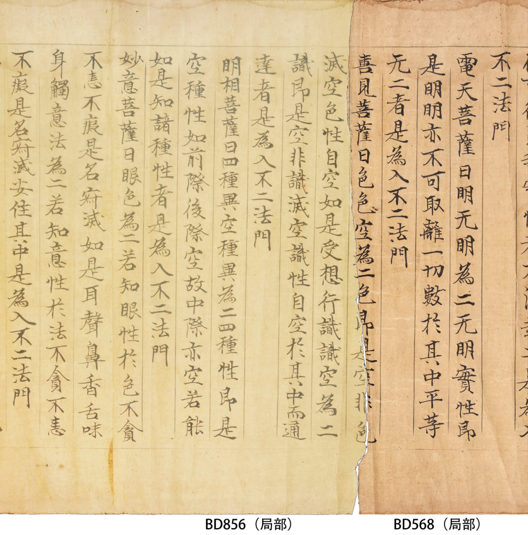 从国图敦煌本《维摩诘经》系列残卷的缀合还原李盛铎等人窃取写卷的真相