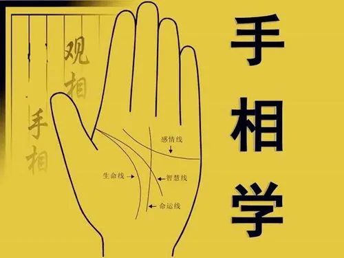 快来看看你手上有没有这十二种大富大贵的手相