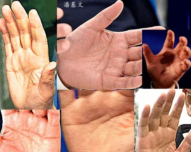 快来看看你手上有没有这十二种大富大贵的手相