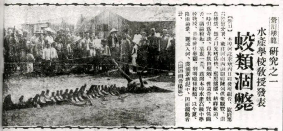 文章标题-8 龙王信仰的背景调查:东方农业文明的水神崇拜与文化融合