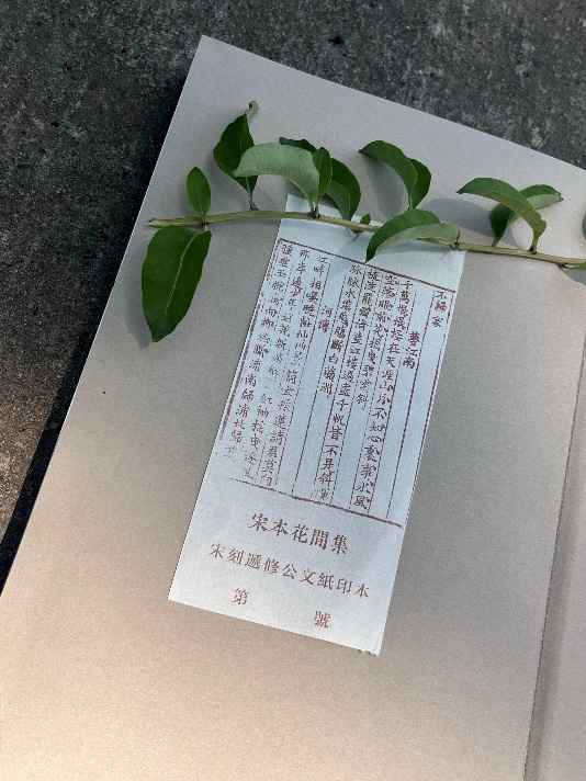 文章标题-34 宋公文纸印本《花间集》首次高清全彩影印 毛边特别版编号发售