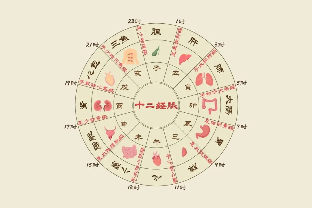 文章标题-8 天干地支是中国人通过五维空间塑造出来的强大宇宙观
