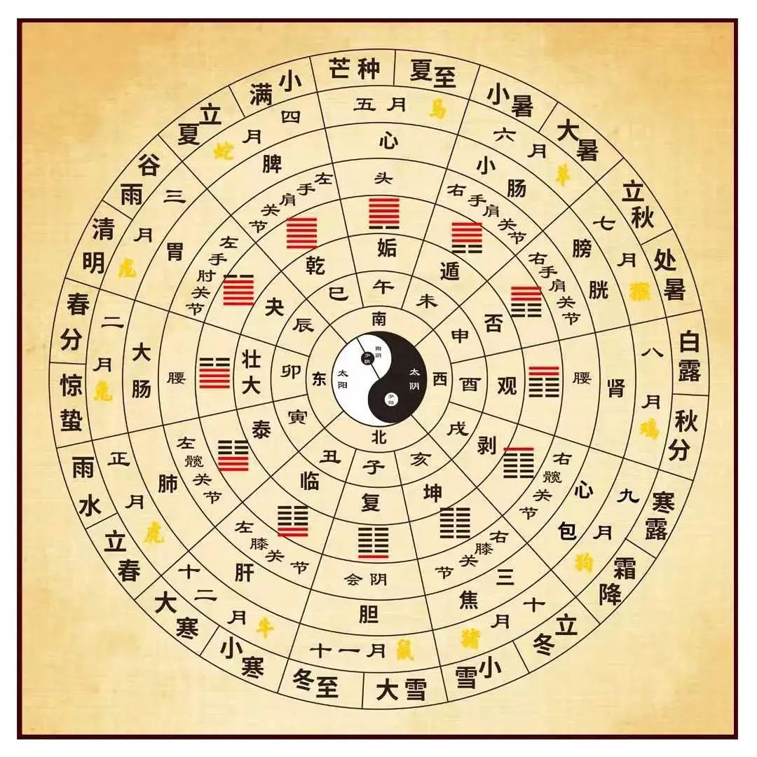 文章标题-19 天干地支是中国人通过五维空间塑造出来的强大宇宙观