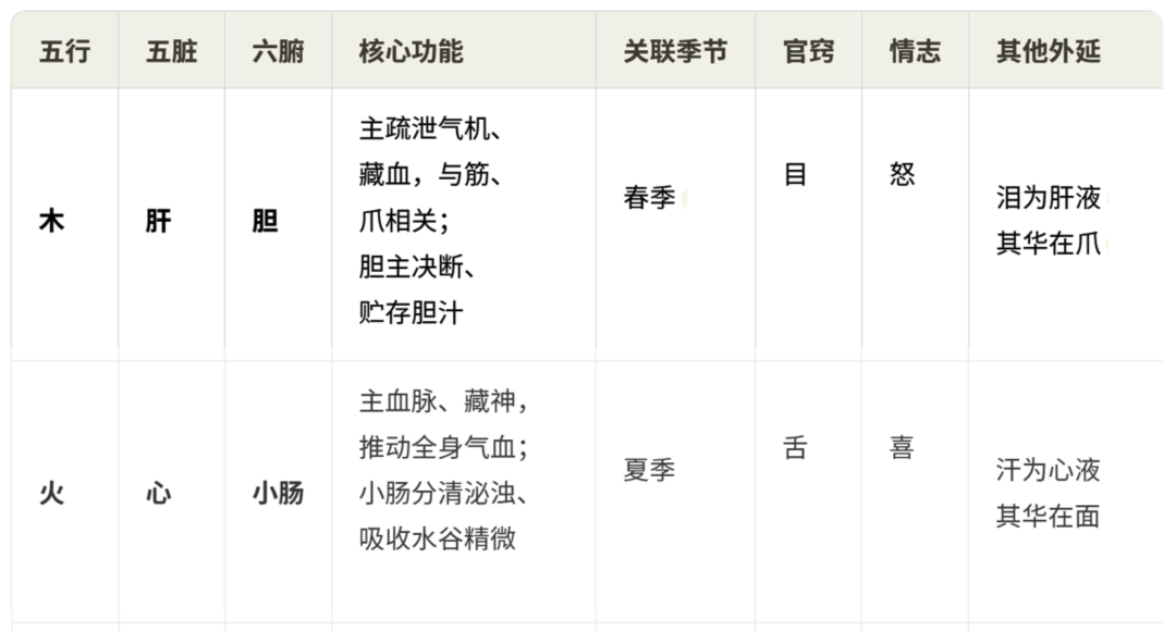 文章标题-3 五脏系统总览—脏居于内,形见于外