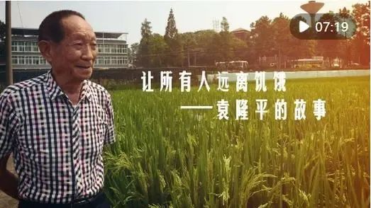 紫微斗数解读水稻之父袁隆平的非凡人生轨迹：以凡人之躯，行菩萨之道