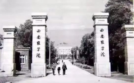 紫微斗数解读水稻之父袁隆平的非凡人生轨迹：以凡人之躯，行菩萨之道