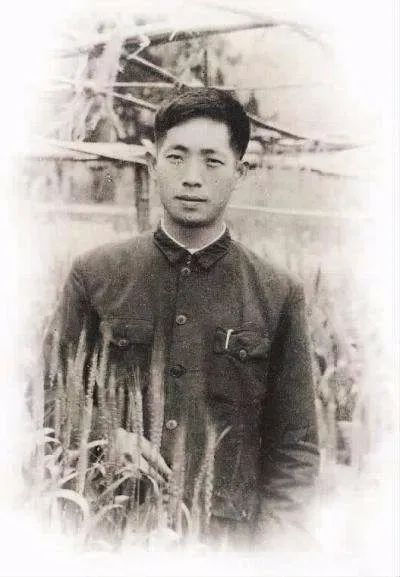 紫微斗数解读水稻之父袁隆平的非凡人生轨迹：以凡人之躯，行菩萨之道