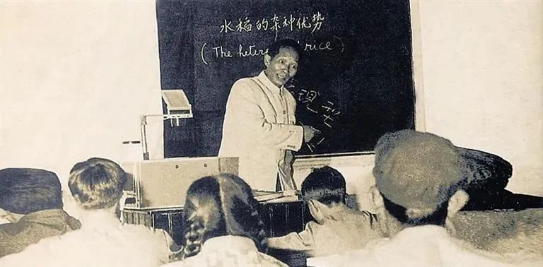 紫微斗数解读水稻之父袁隆平的非凡人生轨迹：以凡人之躯，行菩萨之道