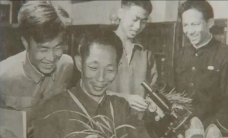 紫微斗数解读水稻之父袁隆平的非凡人生轨迹：以凡人之躯，行菩萨之道