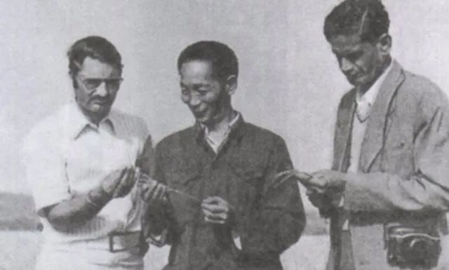 紫微斗数解读水稻之父袁隆平的非凡人生轨迹：以凡人之躯，行菩萨之道