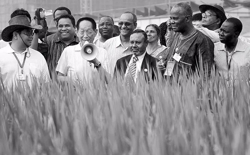 紫微斗数解读水稻之父袁隆平的非凡人生轨迹：以凡人之躯，行菩萨之道