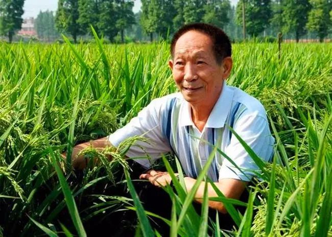 紫微斗数解读水稻之父袁隆平的非凡人生轨迹：以凡人之躯，行菩萨之道