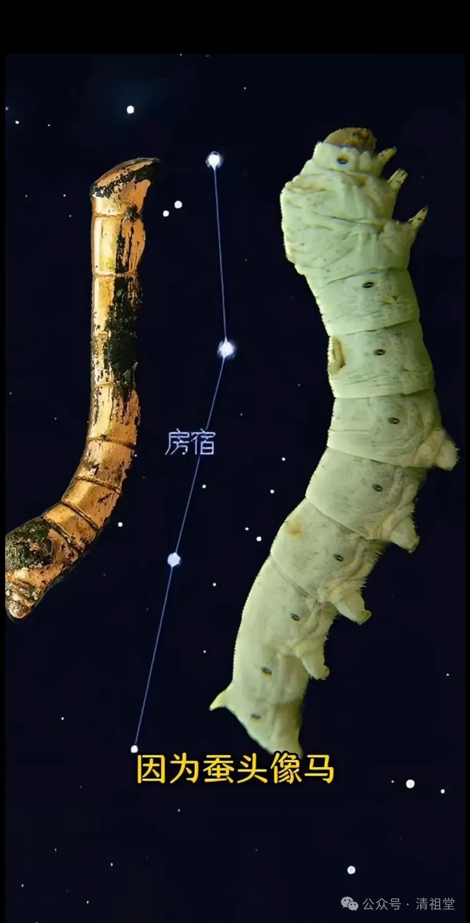 文章标题-7 四月初六,恭祝棉纺织业祖师黄道婆诞辰,她的诞辰日来自于天象