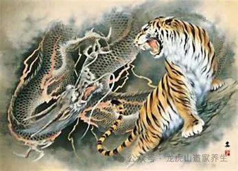 太上秘传金丹修炼法（完整秘法公开）