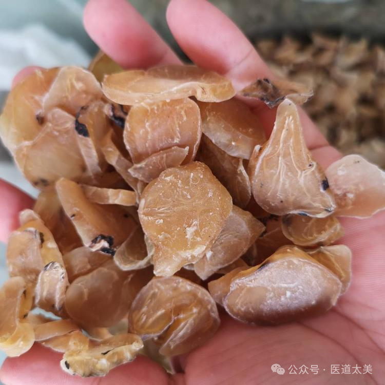 倪海厦：口腔神药方-青盐炮附子