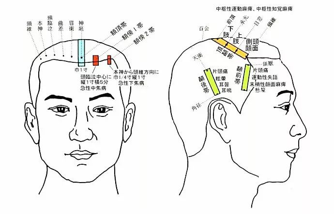文章标题-7 人体全息元:图解针灸按摩之精髓