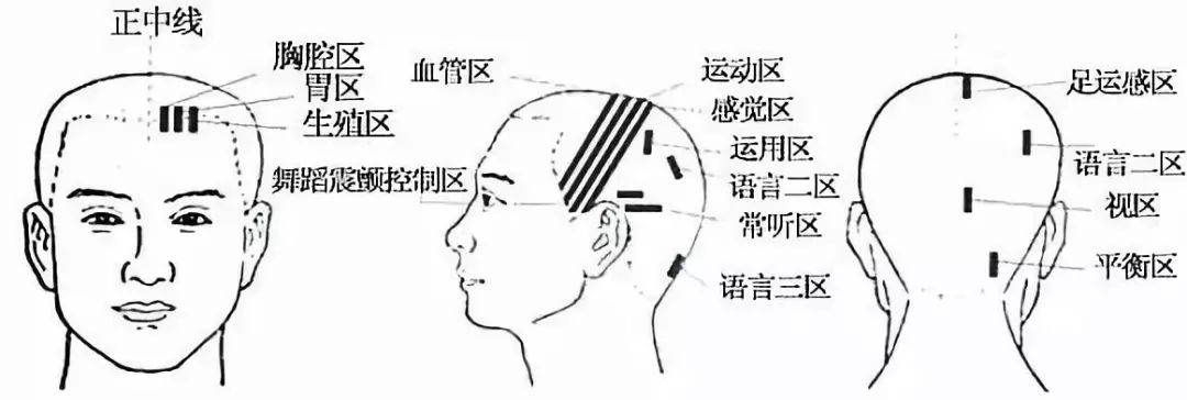 文章标题-8 人体全息元:图解针灸按摩之精髓