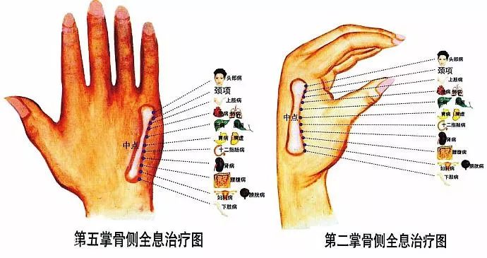 文章标题-9 人体全息元:图解针灸按摩之精髓