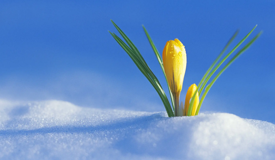 日柱，居然能看出这么多秘密！