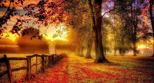 日柱，居然能看出这么多秘密！