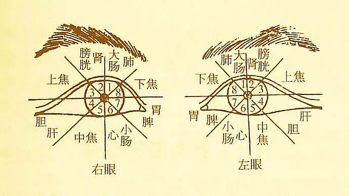 文章标题-17 人体全息元:图解针灸按摩之精髓