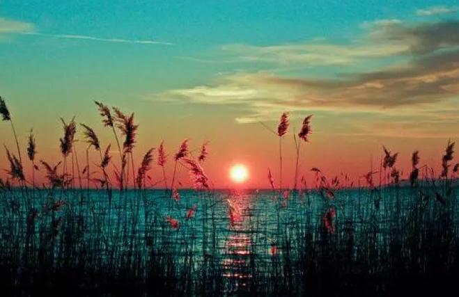 日柱，居然能看出这么多秘密！