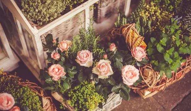 日柱，居然能看出这么多秘密！