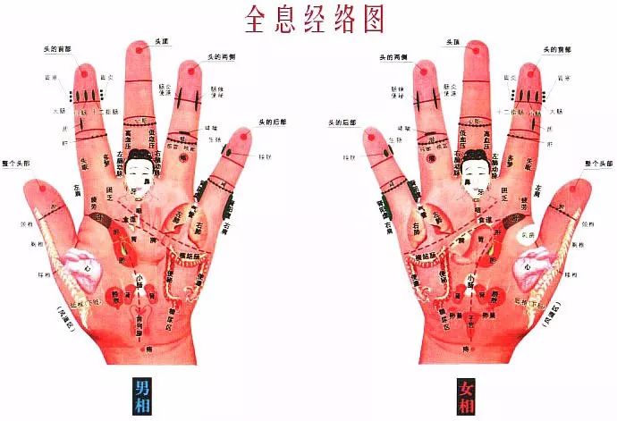 文章标题-16 人体全息元:图解针灸按摩之精髓