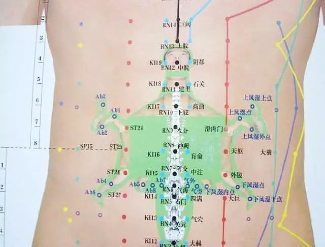 文章标题-20 人体全息元:图解针灸按摩之精髓