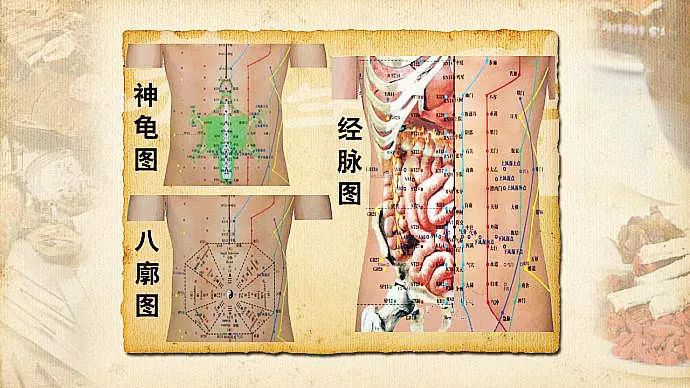 文章标题-21 人体全息元:图解针灸按摩之精髓