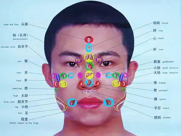 文章标题-25 人体全息元:图解针灸按摩之精髓