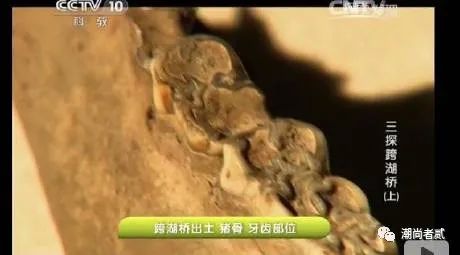 穿越时空的鉴证：华夏文明，唯一由古文物印证的古老文明（二）