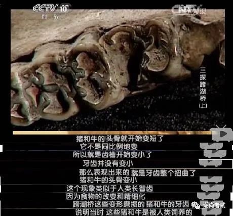 穿越时空的鉴证：华夏文明，唯一由古文物印证的古老文明（二）